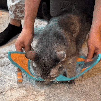 Harnais Anti-Fugue | HarnessCat™ + Laisse