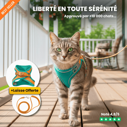 Harnais Anti-Fugue | HarnessCat™ + Laisse