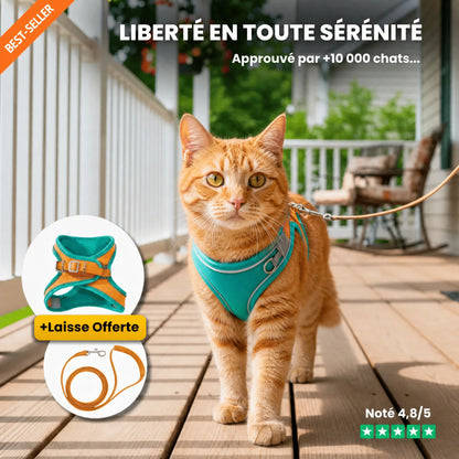 Harnais Anti-Fugue | HarnessCat™ + Laisse