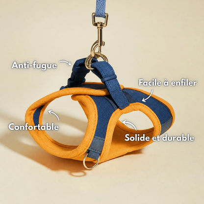 Harnais Anti-Fugue | HarnessCat™ + Laisse