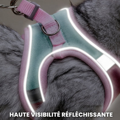 Harnais Anti-Fugue | HarnessCat™ + Laisse
