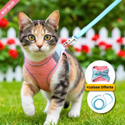 Harnais Anti-Fugue | HarnessCat™ + Laisse
