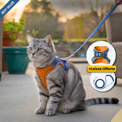 Harnais Anti-Fugue | HarnessCat™ + Laisse